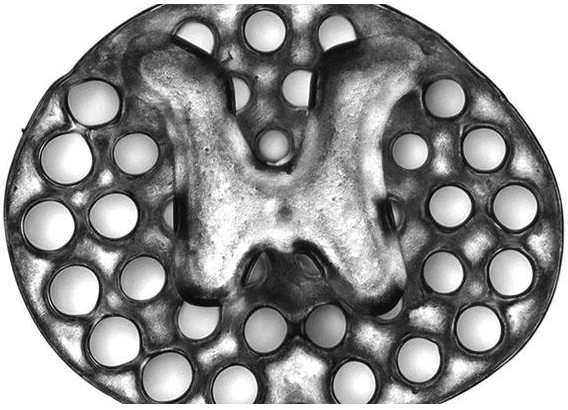 rapid-3d-printing-technique-yields-new-spinal-cord-treatment