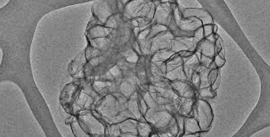 Georgian Technical University Fluid-Inspired Material Quickly And ...