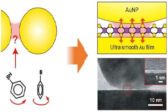 New Surface Enhanced Raman Scattering Technique Examines Plasmonic ...