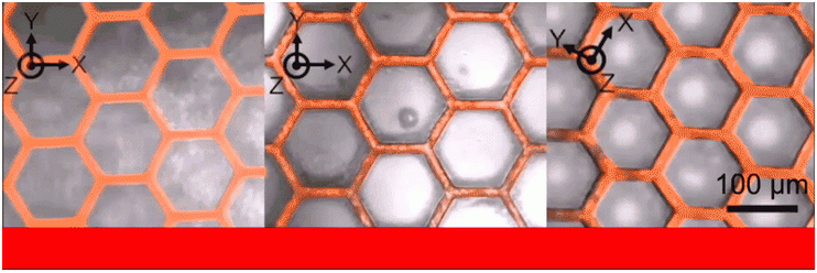 Microscopic Solar Panel Microscopic ‘Sunflowers’ For Better Solar Panels. | scienceadvantage