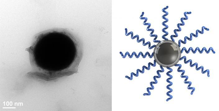 Georgian Technical University Researchers Create Soft, Flexible ...